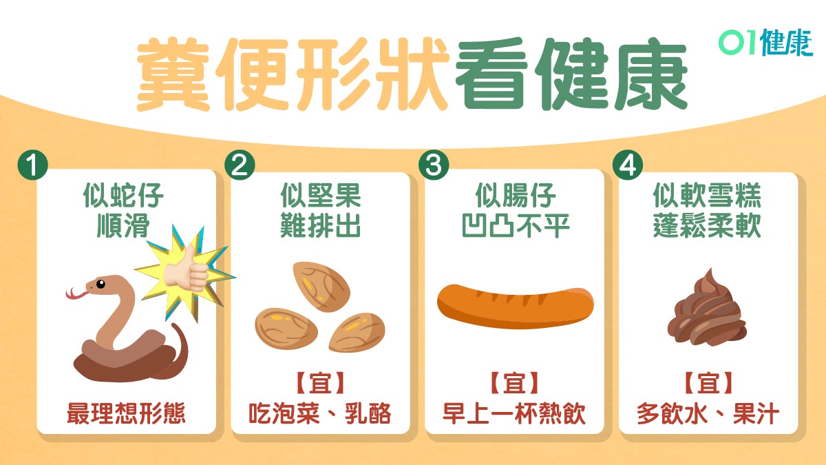 糞便7種形狀知腸胃狀況　 似堅果代表什麼？附防便秘飲食