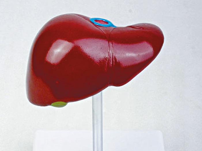 嚴控乙肝定期檢查（上）