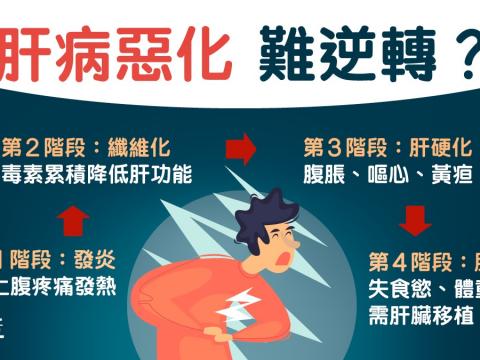 肝病必經4階段纖維化可自癒？腳腫肚脹肝硬化徵兆